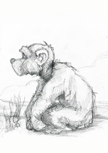 Teddy 2003
